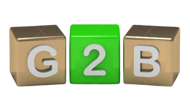 g2b services deosoft software development it company ranchi removebg preview