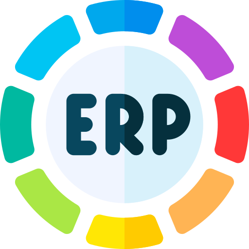 erp (1)