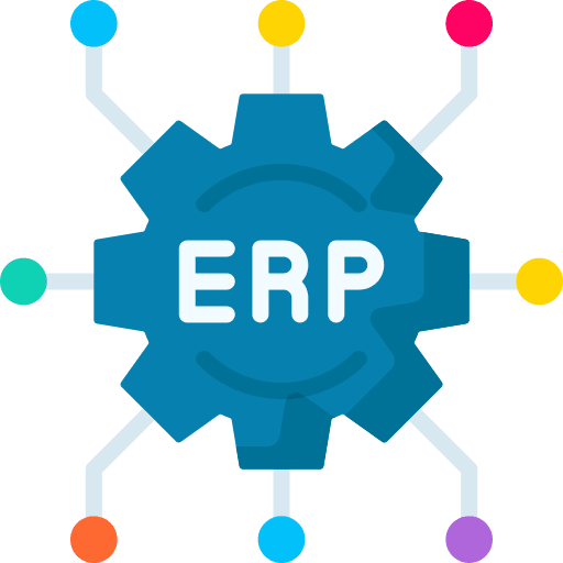 Erp 1